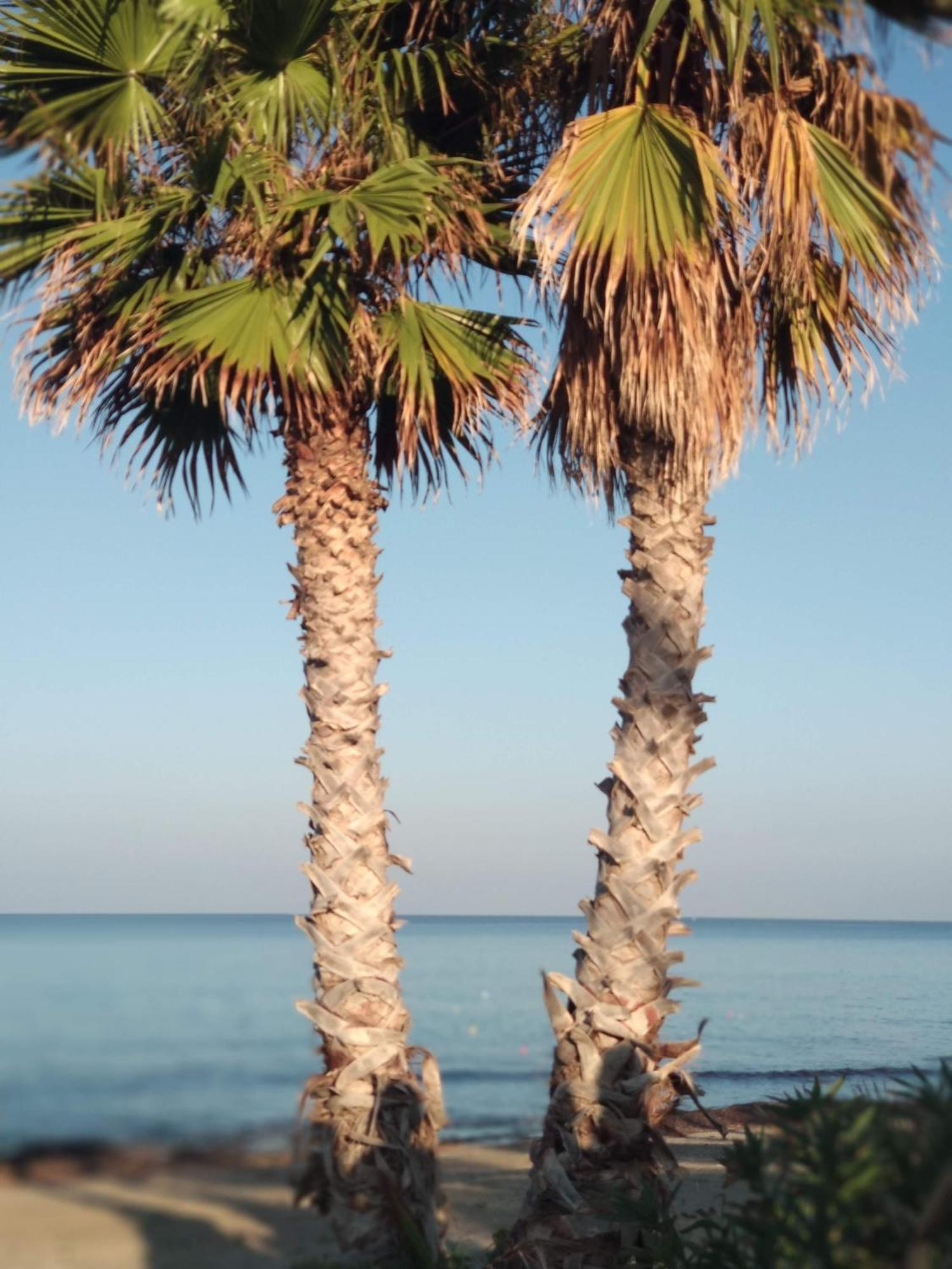 Cofanomare Bed & Breakfast Custonaci Dış mekan fotoğraf
